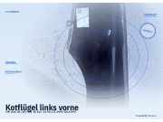 Kotflügel links vorne VW Golf III (1H)