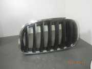 Kühlergrill BMW X5 (E70)