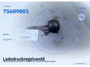 Ladedruckregelventil VW Passat B6 Variant (3C5) 75609001