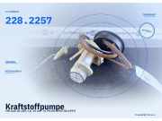 Kraftstoffpumpe VW Golf III (1H) 228.2257