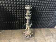 Federbein rechts vorne BMW X1 (E84) 31316851336