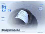 Keilriemenscheibe BMW 5er Touring (E39)11231438995 11231432471