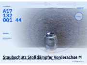 Staubschutz Stoßdämpfer Vorderachse MERCEDES-BENZ SLK (R171) A1713200144