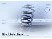 Eibach Feder hinten BMW 5er Touring (E39)