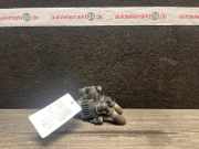 Heizungsregulierventil MERCEDES-BENZ E-Klasse Kombi (S210) 0018307884