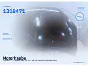 Motorhaube FORD Focus II Cabriolet (DB3) 1505771 1318471