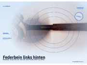 Federbein links hinten RENAULT 25 (B 29)