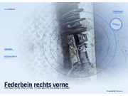 Federbein rechts vorne VW Polo IV (9N, 9A)