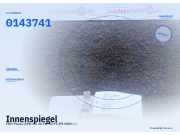 Innenspiegel FIAT Panda (169) 0143741