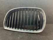 Kühlergrill BMW 1er (E87) 511370771299
