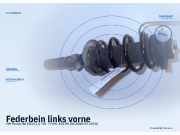 Federbein links vorne VW Passat (3C2, B6)