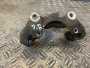 Halter für Bremssattel DACIA Sandero II (SD)