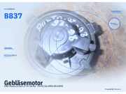 Gebläsemotor FIAT Punto (176) B837