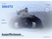 Auspuffkrümmer PEUGEOT 306 306572