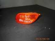 Blinker FORD Focus Turnier (DNW)