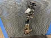 Federbein links vorne FORD Focus II (DA, DP, HCP)