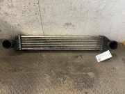 Ladeluftkühler MERCEDES-BENZ A-Klasse (W169) A1695000000