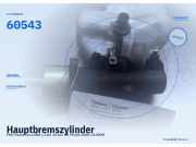 Hauptbremszylinder FIAT Punto Van (188) 60543