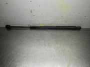 Heckklappendämpfer FORD Focus (DAW, DBW) 3M51-A406A10-AB