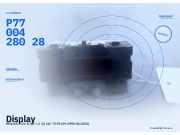 Display RENAULT Clio II (B) P7700428028