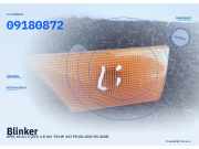 Blinker OPEL Vectra C (Z-C) 09180872