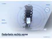 Federbein rechts vorne AUDI A2 (8Z)