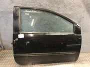 Tür rechts RENAULT Twingo II (CN0)