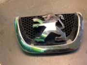 Emblem PEUGEOT 207 303002001