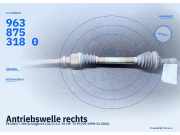 Antriebswelle rechts PEUGEOT 206 Schrägheck (2A/C) 9638753180