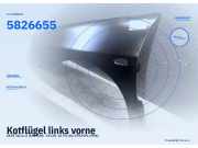 Kotflügel links vorne SEAT Ibiza II (6K) 5826655