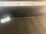 Heckklappendämpfer RENAULT Modus - Grand Modus (P)