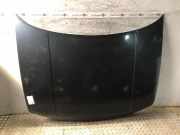 Motorhaube VW Golf IV (1J)