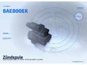 Zündspule SEAT Marbella (28) BAE800EK