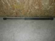 Heckklappendämpfer RENAULT Megane II (BM/CM)