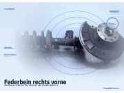 Federbein rechts vorne VW Sharan (7N)