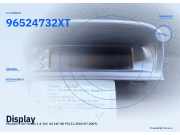 Display PEUGEOT 307 Break 96524732XT