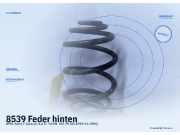 Feder hinten OPEL Astra F Caravan