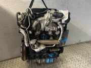 Motor ohne Anbauteile VW Polo IV (9N, 9A) BMT