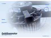 Gebläsemotor Opel Insignia A (G09)