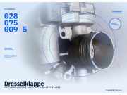 Drosselklappe VW Polo III (6N2) 0280750095
