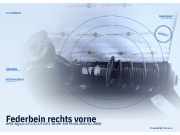 Federbein rechts vorne OPEL Signum (Z-C/S)
