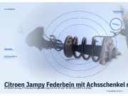 Citroen Jampy Federbein mit Achsschenkel rechts U6