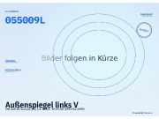 Außenspiegel links VW Golf III Variant (1H) 055009L