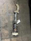 Federbein rechts vorne AUDI A4 Avant (8W, B9) 8W0031AA