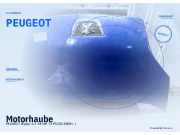 Motorhaube PEUGEOT Bipper PEUGEOT