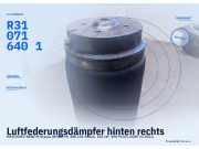 Luftfederungsdämpfer hinten rechts MERCEDES-BENZ M-Klasse (W164) R3107164 R310716401