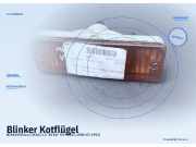 Blinker Kotflügel NISSAN Micra (K10)