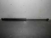 Heckklappendämpfer PEUGEOT 206 Schrägheck (2A/C)