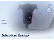 Federbein rechts vorne VW Passat (3B2, B5)