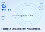 Federbein links vorne mit Achsschenkel BMW 5er Touring (E61) 31316764457